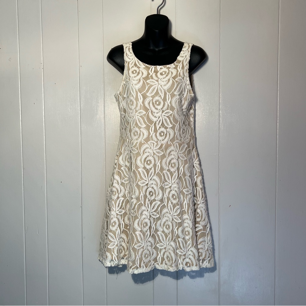 Nwt. Philosophy Petite Medium Cream Lace Over Tan Lining Dress. So Feminine.
